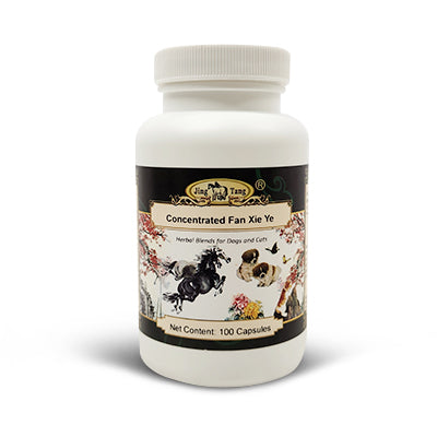 Jing Tang Concentrated Fan Xie Ye 0.5g 100 capsules