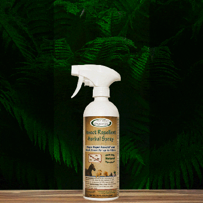 Mad About Organics Insect Repellent Herbal Spray 16oz