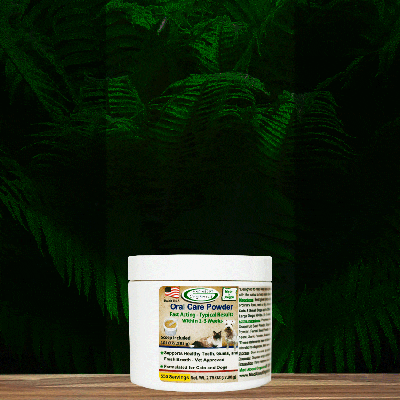 Mad About Organics Oral Care Powder 4oz